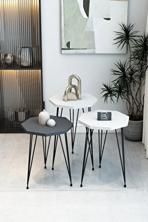  3'lü Sekizgen Zigon Sehpa Seti - Siyah Metal Ayaklı, Modern & Şık Yan Sehpa, Dayanıklı Salon Ofis