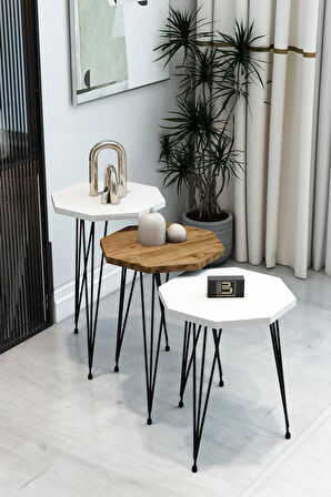  3'lü Sekizgen Zigon Sehpa Seti - Siyah Metal Ayaklı, Modern & Şık Yan Sehpa, Dayanıklı Salon Ofis