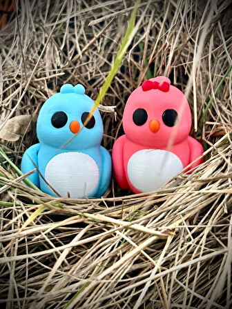 Kuş -"Sevgili Kuşlar" Aşkın ve Sadakatin Simgesi🐦💙💕 3D Hareketli Organik Oyuncak - Model Orta Boy