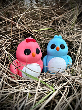Kuş -"Sevgili Kuşlar" Aşkın ve Sadakatin Simgesi🐦💙💕 3D Hareketli Organik Oyuncak - Model Orta Boy