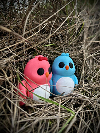 Kuş -"Sevgili Kuşlar" Aşkın ve Sadakatin Simgesi🐦💙💕 3D Hareketli Organik Oyuncak - Model Orta Boy