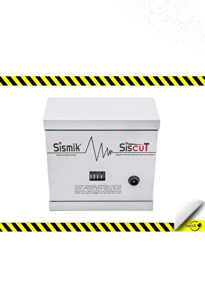 SİSMİK 2 Kontaklı Elektronik Deprem Sensörü