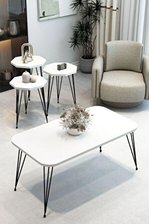 3'Lü Sekizgen Zigon Sehpa ve Dikdörtgen Orta Sehpa Takımı Modern Siyah Metal Ayaklı Salon Sehpa Seti