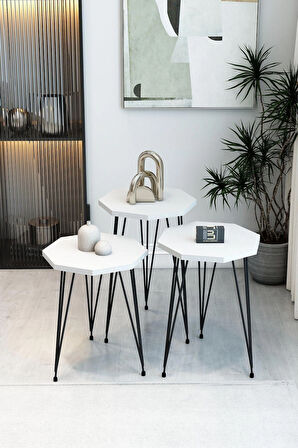 3'Lü Sekizgen Zigon Sehpa ve Dikdörtgen Orta Sehpa Takımı Modern Siyah Metal Ayaklı Salon Sehpa Seti