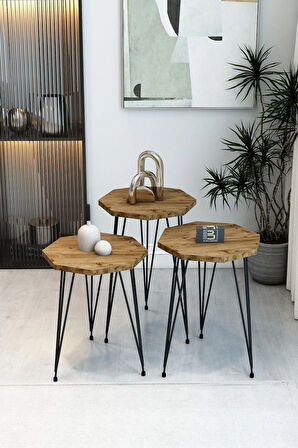 3'Lü Sekizgen Zigon Sehpa ve Dikdörtgen Orta Sehpa Takımı Modern Siyah Metal Ayaklı Salon Sehpa Seti