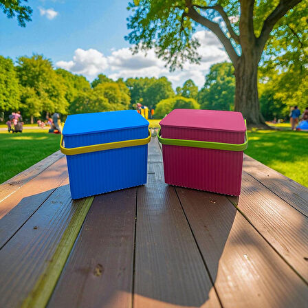 Rainbow 2'li Mavi Pembe Kare Kova Piknik Sepeti Meyve Kovası