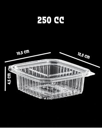 Sızdırmaz Düz Kapaklı Şeffaf Plastik Kap – 250 cc kapasiteli, 100 Adet, Gıda Saklama ve Servis Kabı