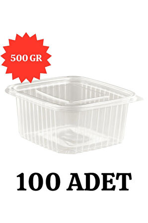 Sızdırmaz Düz Kapaklı Şeffaf Plastik Kap – 500 cc gr kapasiteli, 100 Adet, Gıda Saklama ve Servis Kabı