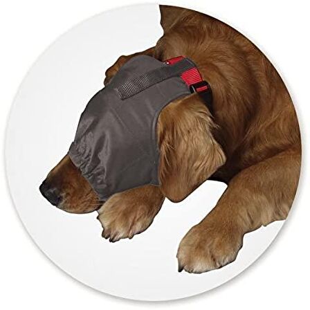 Thundershirt Köpekler için Sakinleştirici Başlık