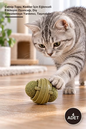 4 Adet Kedi Nanesi Oyun Topu – Catnip Topu, Kediler İçin Eğlenceli Etkileşim Oyuncağı, Diş Temizlemeye Yardımcı, Taşınabilir