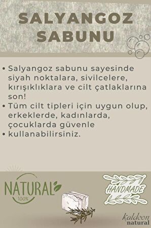 Salyangoz Sabunu El Yapımı Doğal 120 G