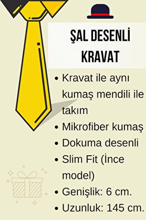 Mavi Şal Desenli Lacivert Dokuma Kumaş Mendilli Slim Fit Kravat  / SDK-230205