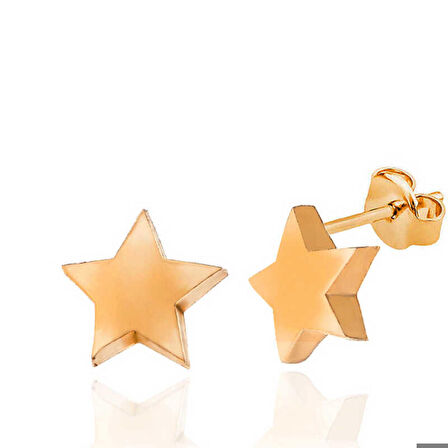 Gümüş Rose Yıldız Çivili Kadın Küpe