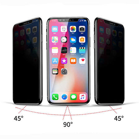 Apple iPhone X ​​​​​​​​​​​​Zore Rika Premium Privacy Temperli Cam Ekran Koruyucu