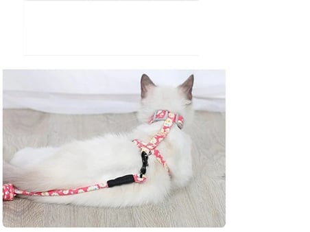 Kedi Gezdirme Göğüs Tasması