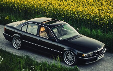 BMW 7 SERIES E38 Bagaj Amortisörü