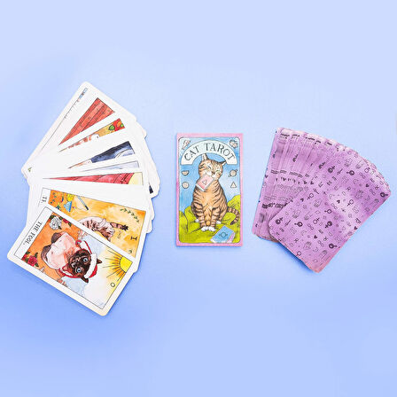 Cat Tarot 78 Cards - Kedi Tarot Kart Destesi