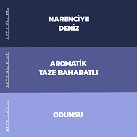 Magnesia TAURUS EDP Erkek Parfümü 100 ml.