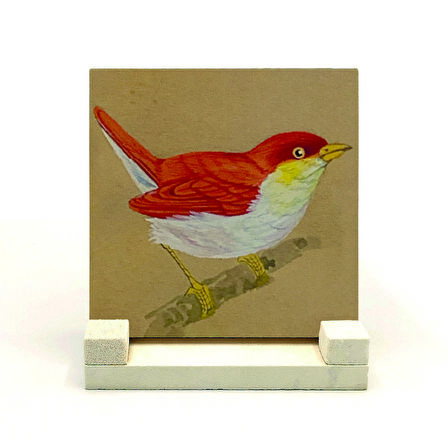 KuşBaskılı Doğaltaş Masaüstlük