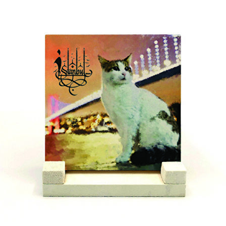 İstanbul Kedisi Baskılı Doğaltaş Masaüstlük