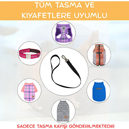 Beylini Dayanıklı Köpek Gezdirme Kayışı Metal Tokalı Bütün Tasmalara Uyumlu Evcil Hayvan Tasması Siyah 150 CM
