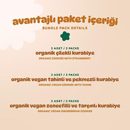 Organik Vegan Zencefilli Tahinli ve Çilekli Tatlı Kurabiyeler Atıştırmalık Paketi - 6 adet (3 çeşit)