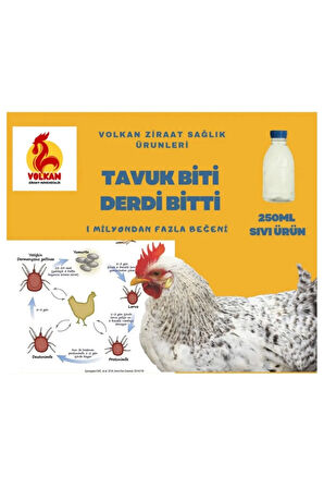 "Kümes Hayvanlarınız İçin Kesin Çözüm: Kırmızı Bitlere Karşı Gallus Gallinea"