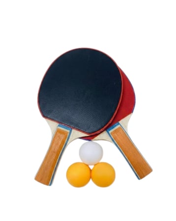 Masa Tenisi Oyun Seti 2 Raket 3 Top Evde Spor ve Eğlence