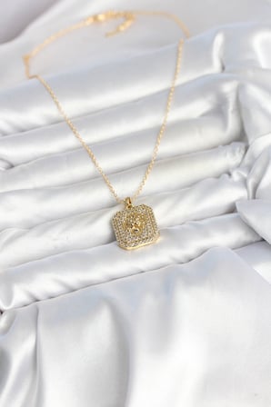 316L Çelik Zincir Gold Aslan Madalyon Model Zirkon Taşlı Kadın Ke