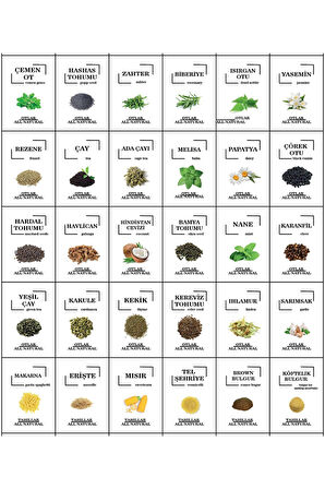 Renkli Kuruyemiş, Baharat, Bakliyat için Suya Dayanıklı Kavanoz Etiketleri - 114 Adet Folyo Sticker