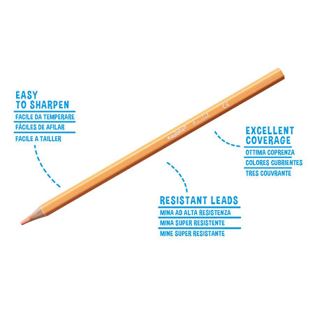 Carioca Pastel Renk Kuru Boya Kalemi 12'Li