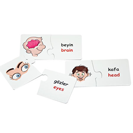 EDU-1008 Eşleştir Vücudumuz -Chiva