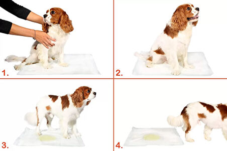 Yıkanabilir Köpek Çiş Pedi - 90 X 60 Cm 5li Paket