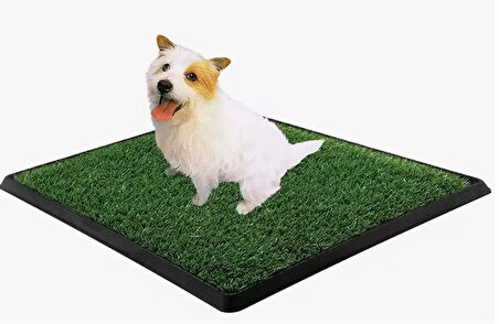 Yavru Köpek Tuvalet Eğitim Parkı 3 Katmanlı - 45Cm x 32 Cm