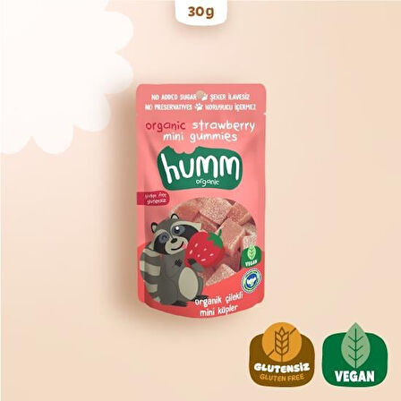 Humm Organik Çilekli Glutensiz Vegan Mini Küpler 30 Gr