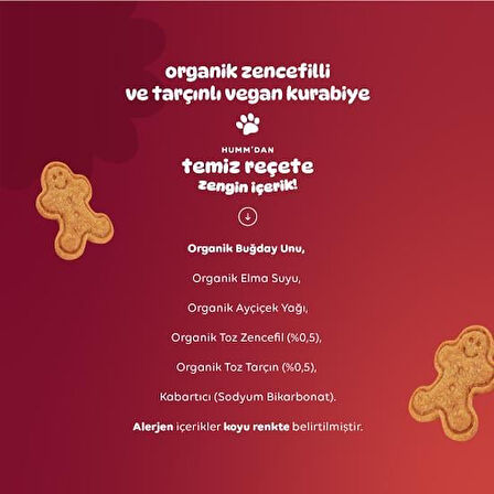 Humm Organik Zencefilli ve Tarçınlı Vegan Kurabiye 55 Gr