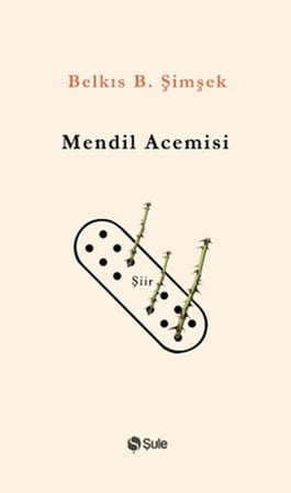 Mendil Acemisi