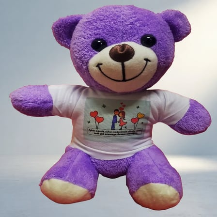 Özel Günler İçin Tişörtlü Peluş Hediye