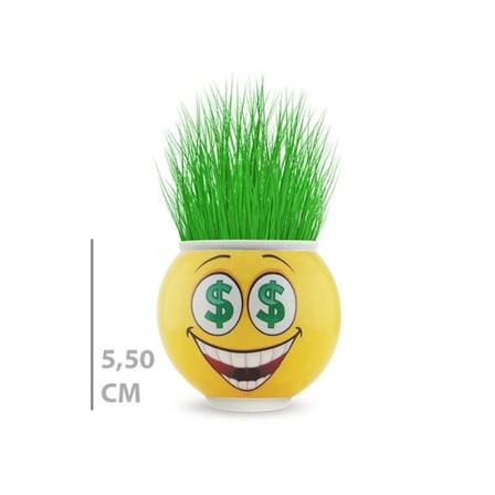 Çim Adam Saksı Emoji Figürlü Dekoratif Çim Yetiştirme Seti