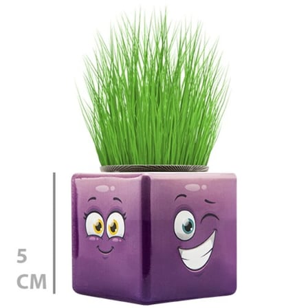 Mini Küp Emoji Figürlü Çim Adam Dekoratif Çim Yetiştirme Ürünü