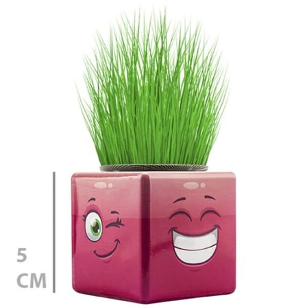 Mini Küp Emoji Figürlü Çim Adam Dekoratif Çim Yetiştirme Ürünü