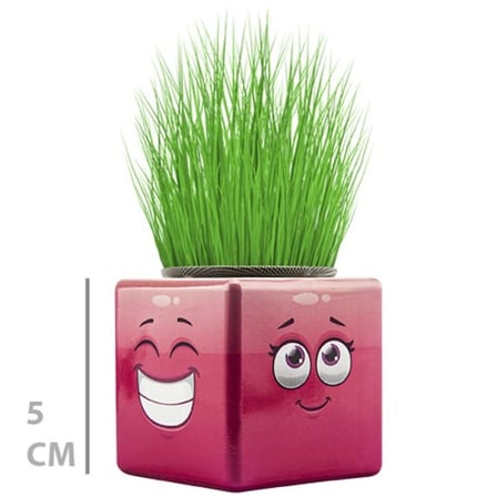 Mini Küp Emoji Figürlü Çim Adam Dekoratif Çim Yetiştirme Ürünü