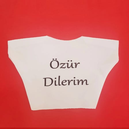 Oyuncak Özür Dilerim Yazılı Peluş Ayı Tişörtü