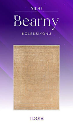 Royal Halı Bearny TD01B Turuncu Krem Viskon Akrilik Yumuşak Dokulu Modern Halı