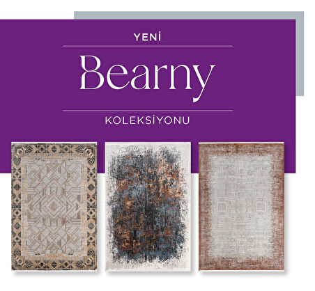 Royal Halı Bearny TD04A Gold Krem Viskon Akrilik Yumuşak Dokulu Modern Halı