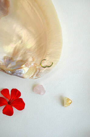 Hologram Renk İnce Çelik Halka Piercing – Tragus, Helix, Kıkırdak, Lob, Forward Helix