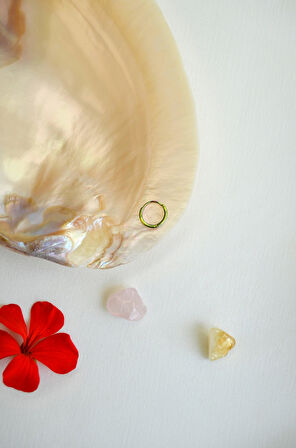 Hologram Renk İnce Çelik Halka Piercing – Tragus, Helix, Kıkırdak, Lob, Forward Helix