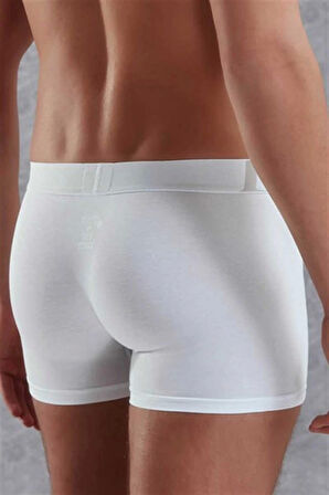 Doreanse Erkek Modal Normal Paça Boxer 1777p