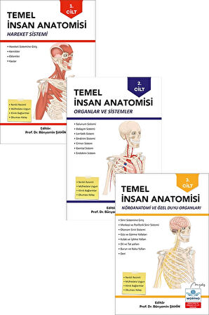 Temel Anatomi Seti 3LÜ