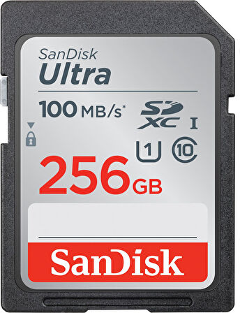FLA 256GB ULTRA SDHC 100MB/S CLASS10 SDSDUNR-256G-GN3IN